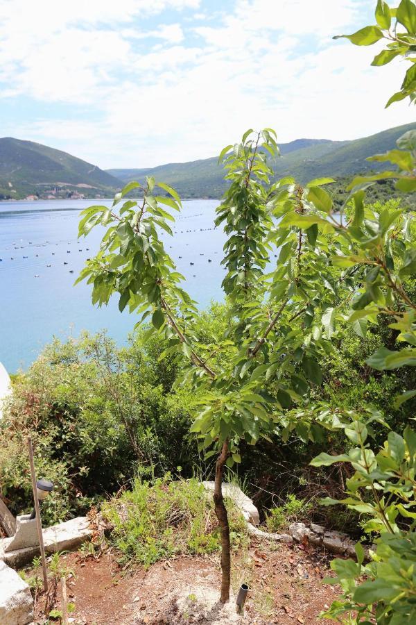 Apartments By The Sea Kabli, Peljesac - 10221 Brijesta Dış mekan fotoğraf